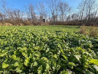 0 Homestead Dr Unit 5174212, New Concord, OH 43762