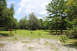 1676 Sunset Trail, Geneva, FL 32732