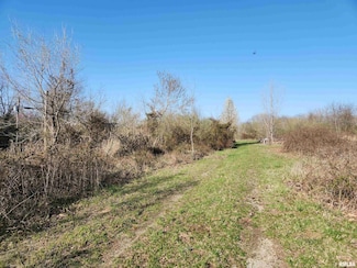 1300 N Tolle Ln, Mount Vernon, IL