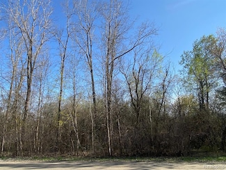 00 Sandstone Dr, Brandon Township, MI 48371