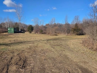 11315 N Great Barrington Dr N, Holly Township, MI 48442