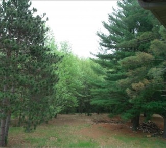 N2737 Ona Pines Rd, Mukwa, WI 54983