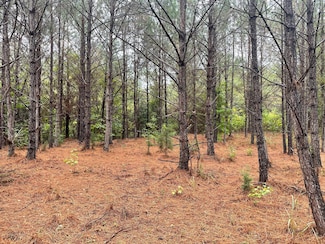 0 Grant Rd, Vina, AL 35593