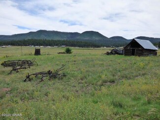 Lot 26 the Ranch at Alpine, Alpine, AZ 85920