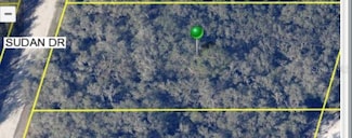 0 Sudan Dr, Webster, FL 33597
