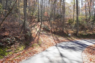 none Silly Ridge Rd, Scaly Mountain, NC 28775