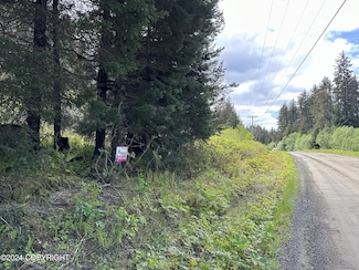 L32 B6 Jakolof Bay Rd, Seldovia, AK 99663