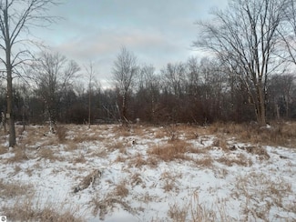 N/A Lentner Rd, Au Gres Township, MI 48749