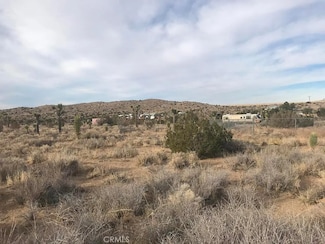 0 Fort Tejon Rd, Pearblossom, CA 93553