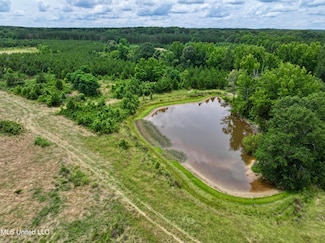 0 Franklin Rd Unit 4114658, Goodman, MS 39079