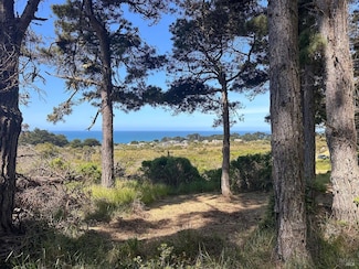 35995 California 1, the Sea Ranch, CA 95497