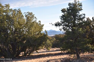 9075 Bird Dog Cir, Williams, AZ 86046
