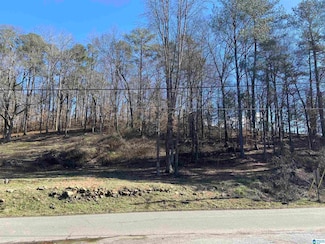 0 Robinson St Unit 1, Springville, AL 35146