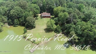 1915 Peavine Rd, Coldwater, MS 38618