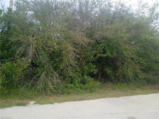 3512 26th St SW, Lehigh Acres, FL 33976