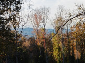 533 Mullins Cove Rd, Powells Crsrd, TN 37397