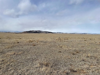 000 Montoya Ln, Hartsel, CO 80449