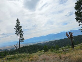 NHN Antiquity Ln, Florence, MT 59833