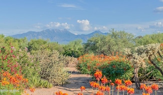 1566 N Rio Mayo, Green Valley, AZ 85614
