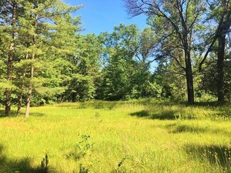0 Bryan Drive 1 6 Acre Unit 314337, Mio, MI 48647