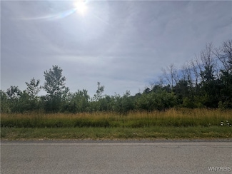 0 Petersmith Rd Unit B1625402, Kendall, NY 14476