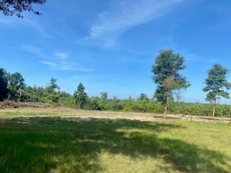 00 Dewitt Ln, Bogalusa, LA 70427