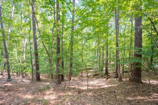 1790 Snug Harbor Dr, Greensboro, GA 30642