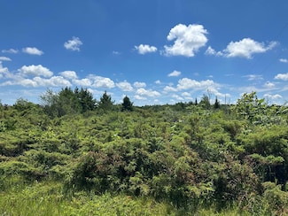 Lot #1 Cedar Ridge Rd, Baileys Harbor, WI 54202