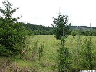 45130 McCully Mountain Rd (East Of) #2 E, Lyons, OR 97358