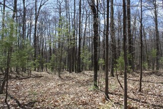 On Katie Cir Unit MI-2358-16, Minocqua, WI 54548