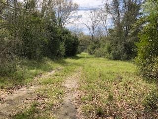 18.77 Ac Phillips and E Pine St, Colquitt, GA 39837