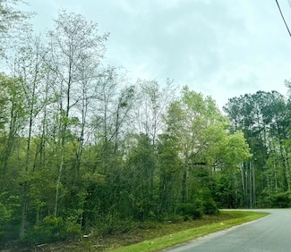 0 Glen St Unit 25015944, Walterboro, SC 29488
