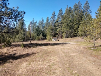 4241 Gardenspot Rd, Loon Lake, WA 99148