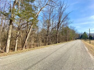 6 Acres Knobs Hill Ln, Amelia Court House, VA
