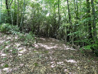 Lot 3 Gateway Dr, Hiawassee, GA 30546