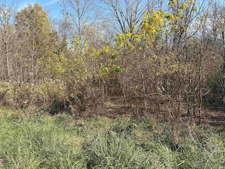 0 Dewey St Unit 202442089, Loogootee, IN 47553