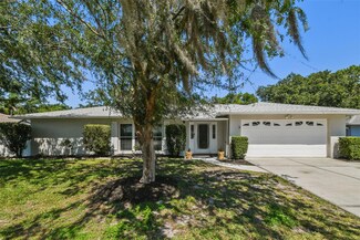 4644 Tampa Downs Blvd, Lutz, FL 33559