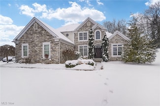 3010 Oaklawn Park Blvd, Stow, OH 44224