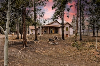 757 Thompson Park Rd, Fairplay, CO 80440