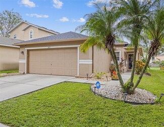 5231 Mango Fruit St, Seffner, FL 33584