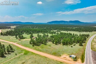 2757 County Road 46, Florissant, CO 80816