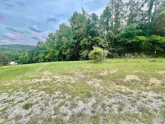 0 Hammer Mill Rd, Wurtland, KY 41144