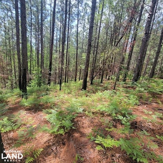 0 County Road 149 Unit 23687293, Sycamore, AL 35149