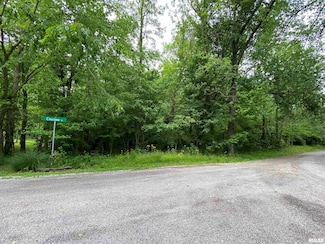 Lot 4 Choctaw Dr, Carbondale Township, IL 62901