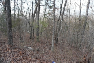 000 Algonquin Cir, Cherokee Village, AR 72529