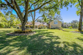 40600 Louise Rd, Umatilla, FL 32784