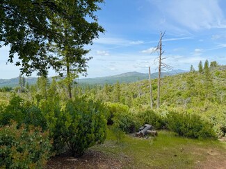 0 Fricot City Rd Unit 202500729, Sheep Ranch, CA 95246