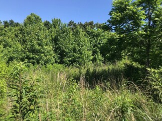 31 Johnny Wheeler Ln, Dunlap, TN 37327