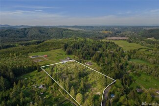 0 Hendrickson Rd, Vader, WA 98593