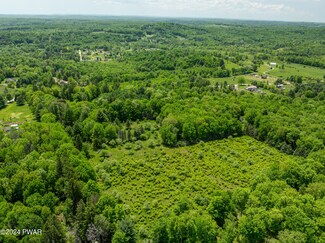 241 Mohn Rd, Beach Lake, PA 18405